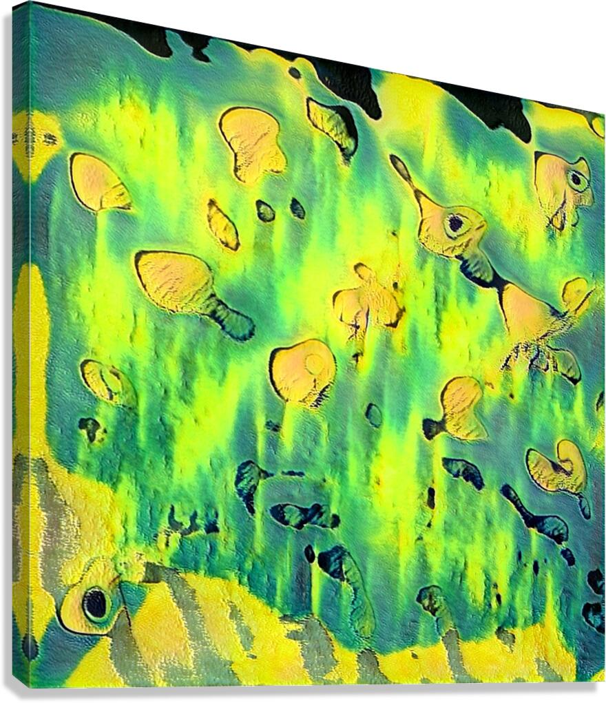 1741 8K Canvas Print