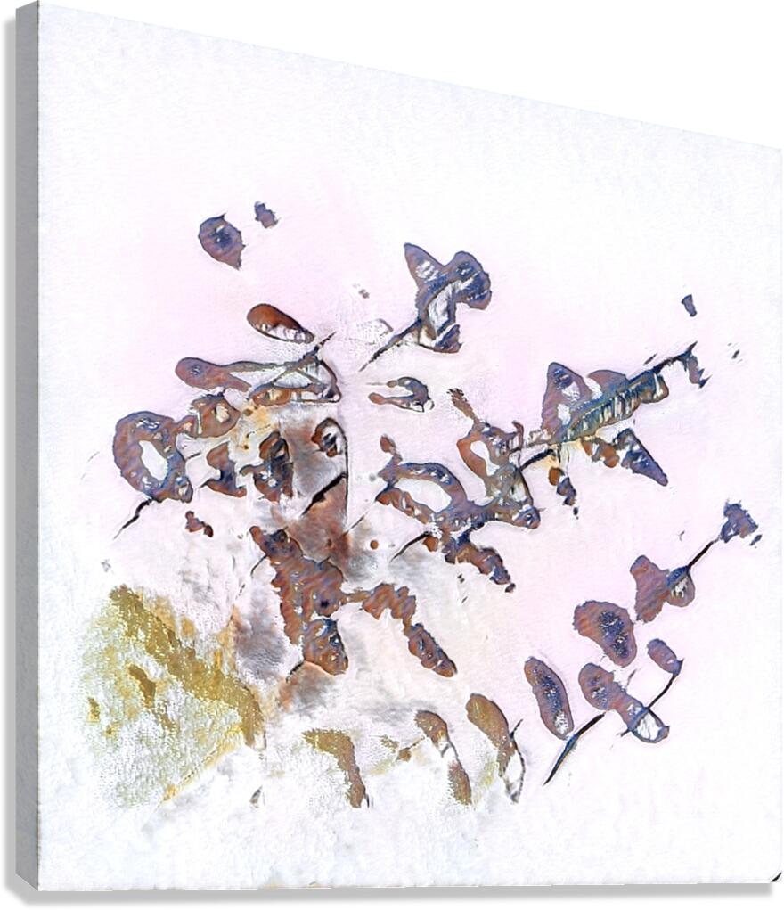 1747 8K Canvas Print