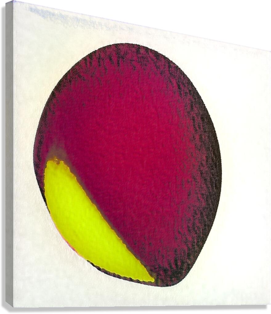 1739 8K Canvas Print