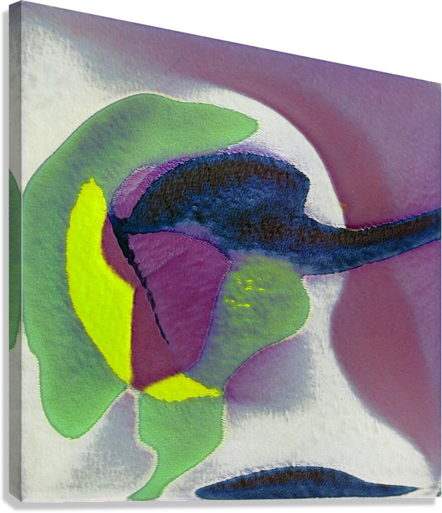 1790 8K Canvas Print