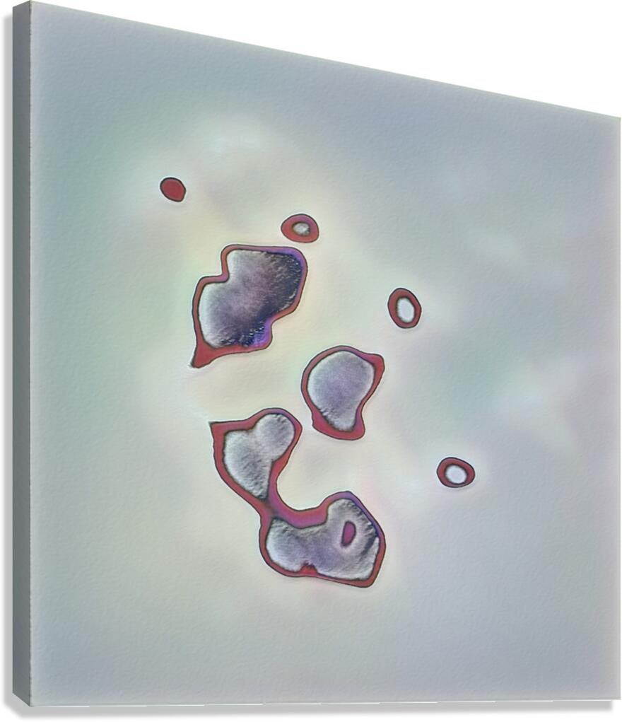 1762 8K Canvas Print