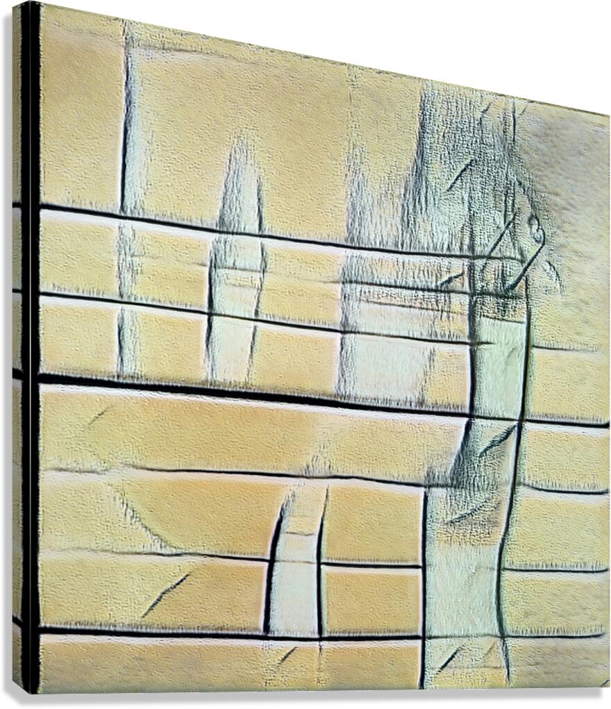 1864 8K Canvas Print