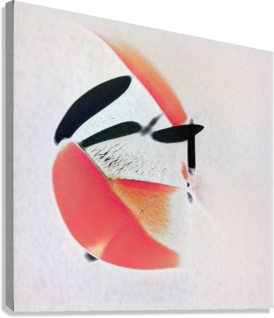 1876 8K Canvas Print