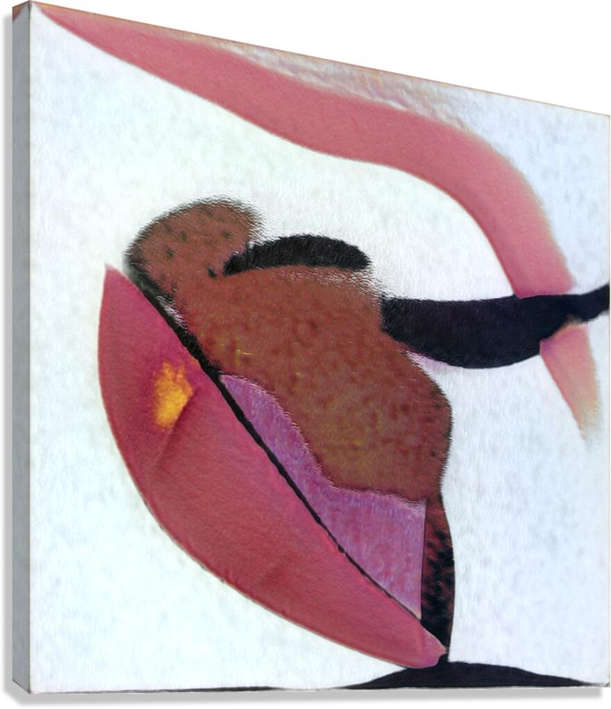 1903 8K Canvas Print