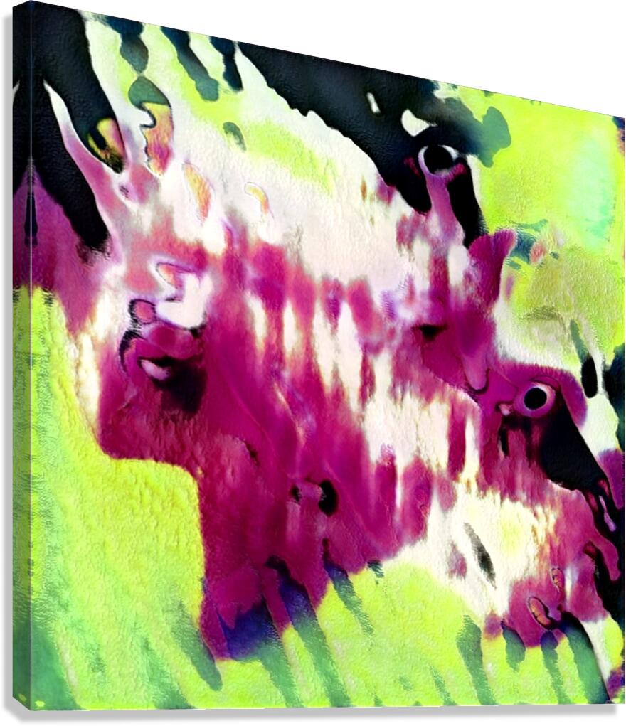 1892 8K Canvas Print