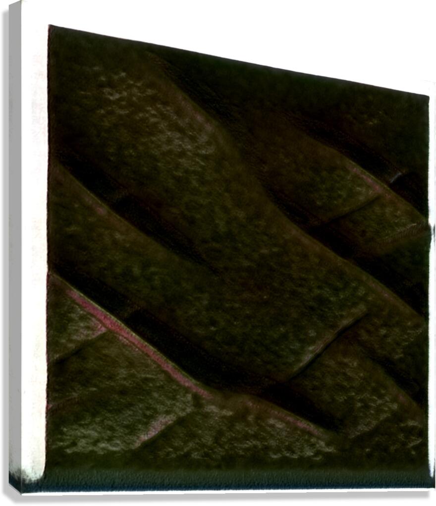 1952 8K Canvas Print