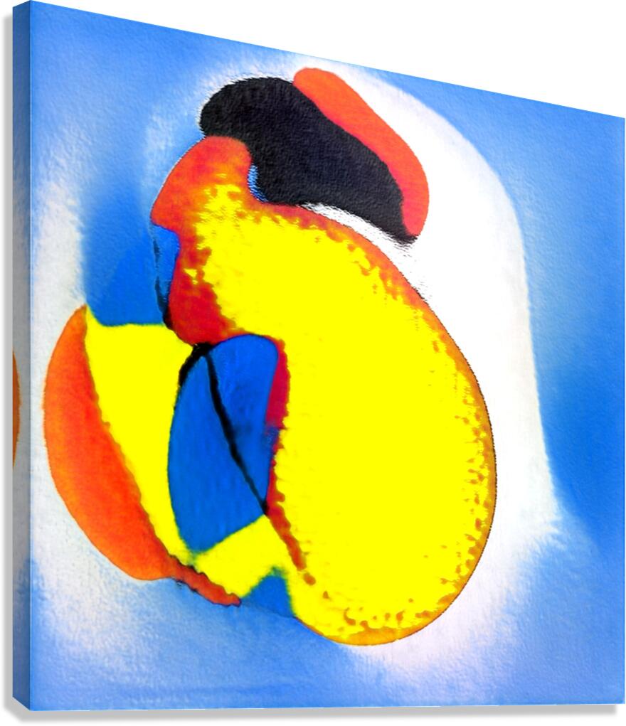 2088 8K Canvas Print