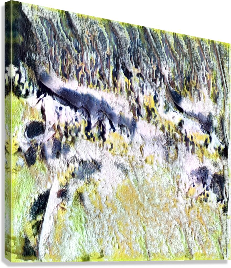 2157 8K Canvas Print