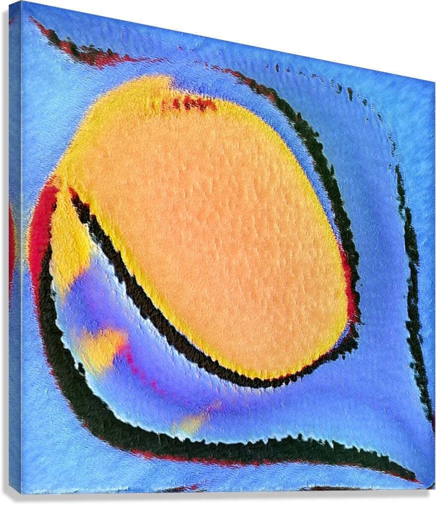 2214 8K Canvas Print