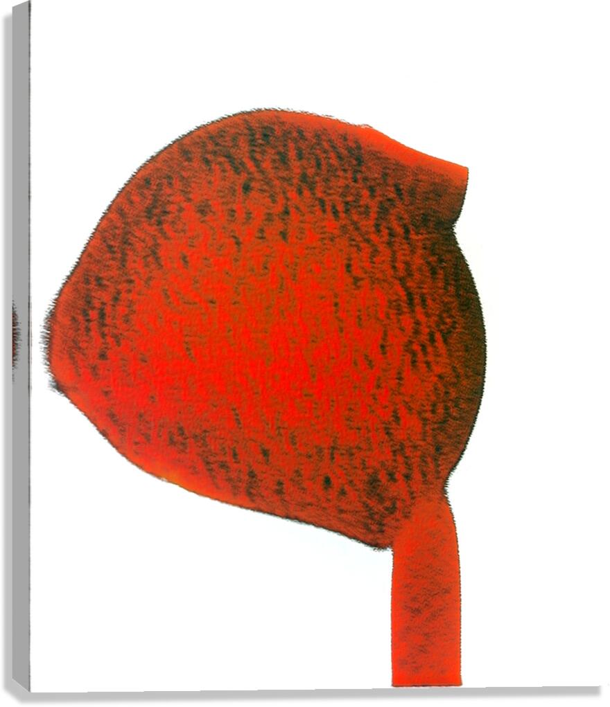 2215 8K Canvas Print