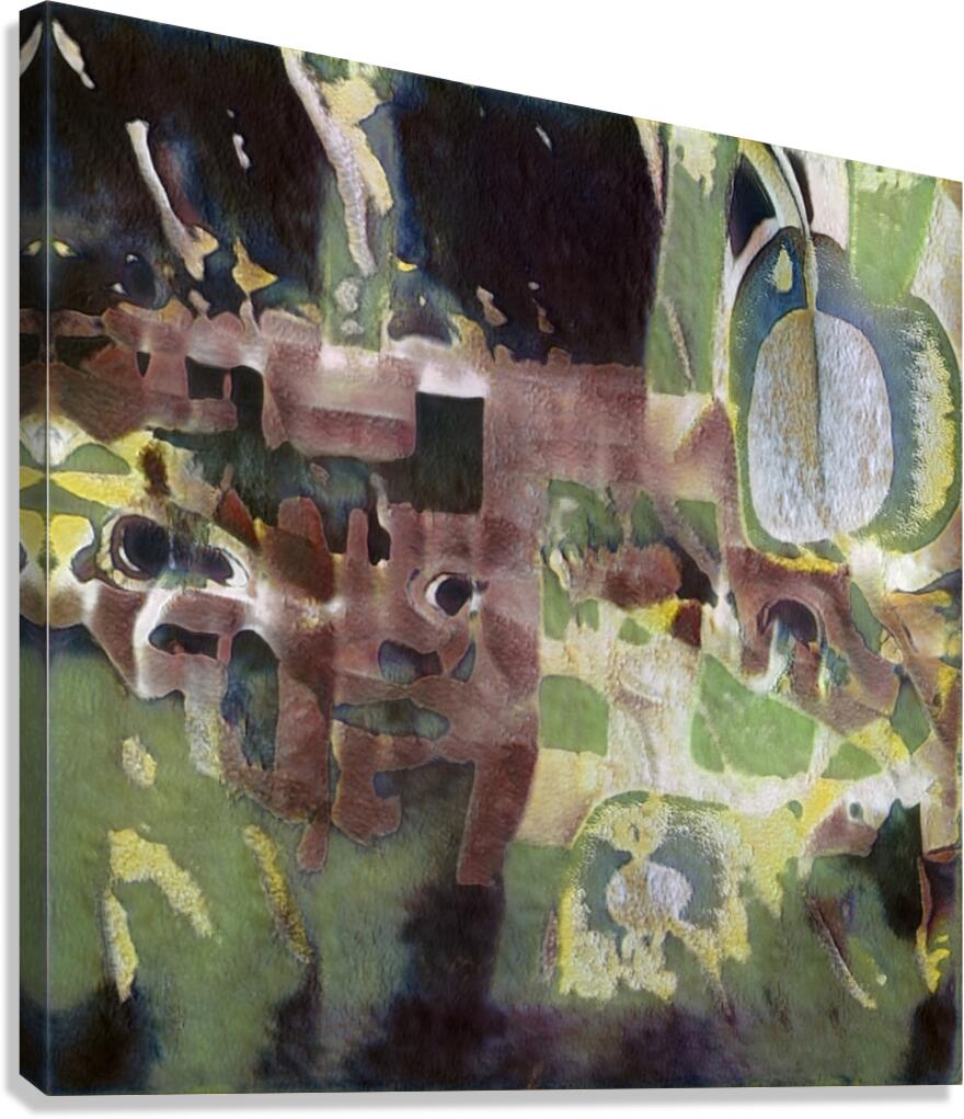 2208 8K Canvas Print