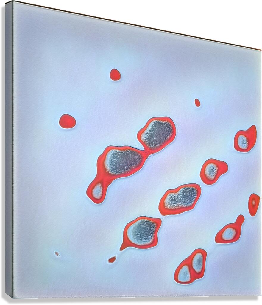 2204 8K Canvas Print