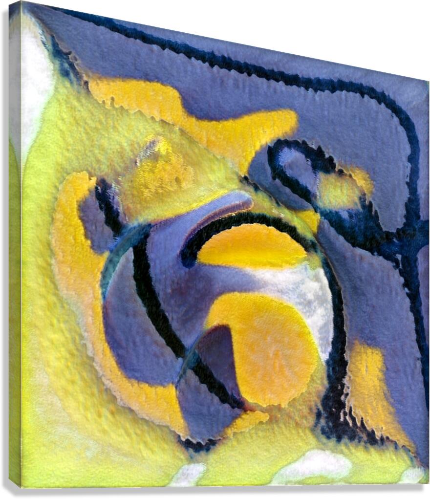 2250 8K Canvas Print