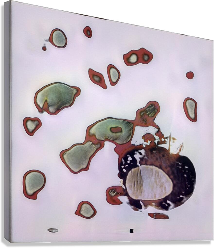 2279 8K Canvas Print