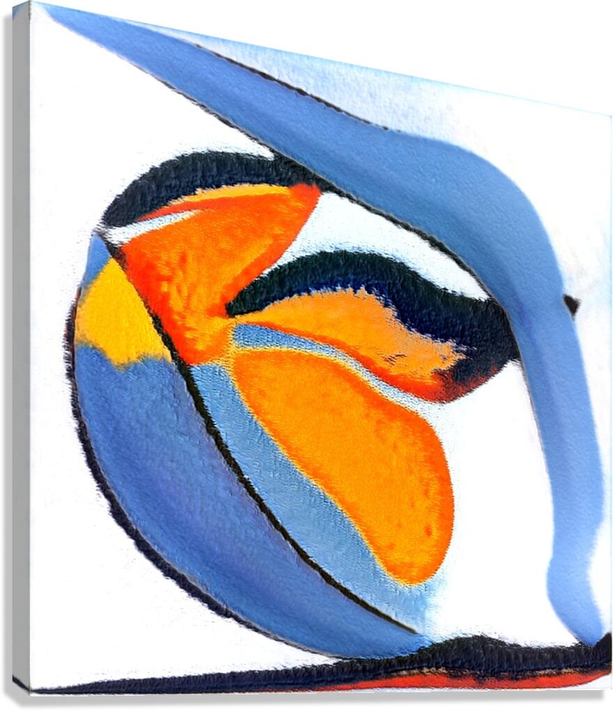 2397 8K Canvas Print