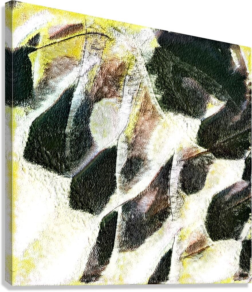 2403 8K Canvas Print