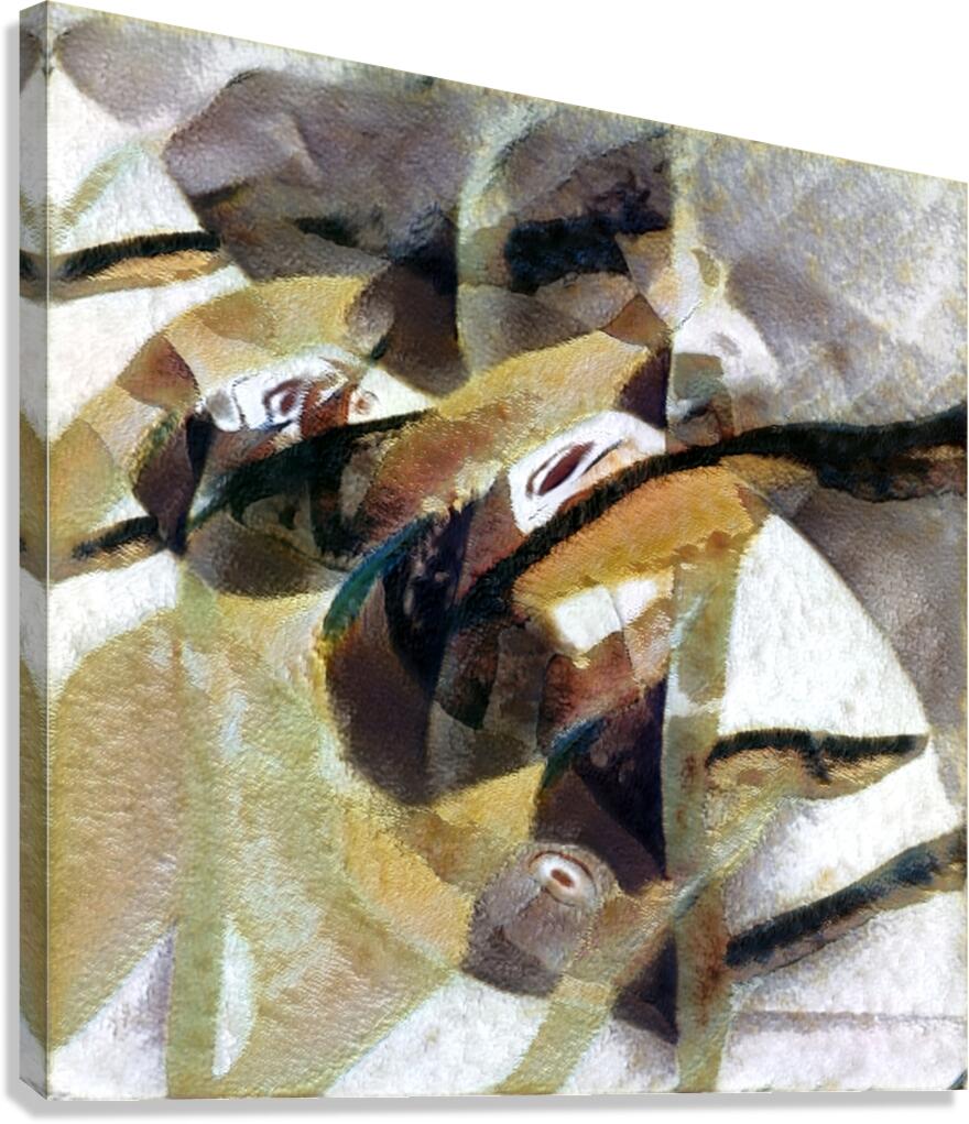 2429 8K Canvas Print