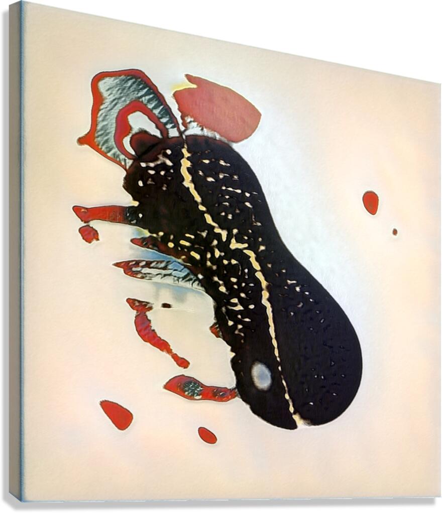 2431 8K Canvas Print