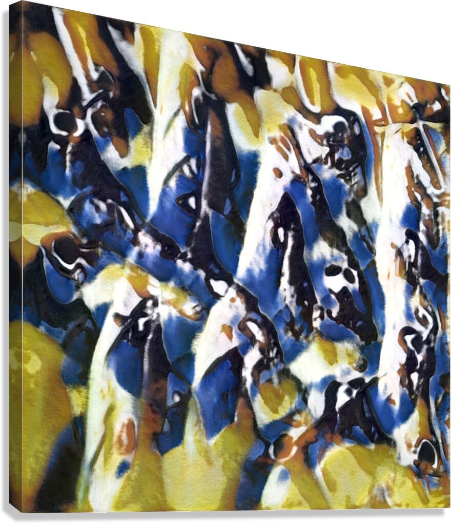 2468 8K Canvas Print