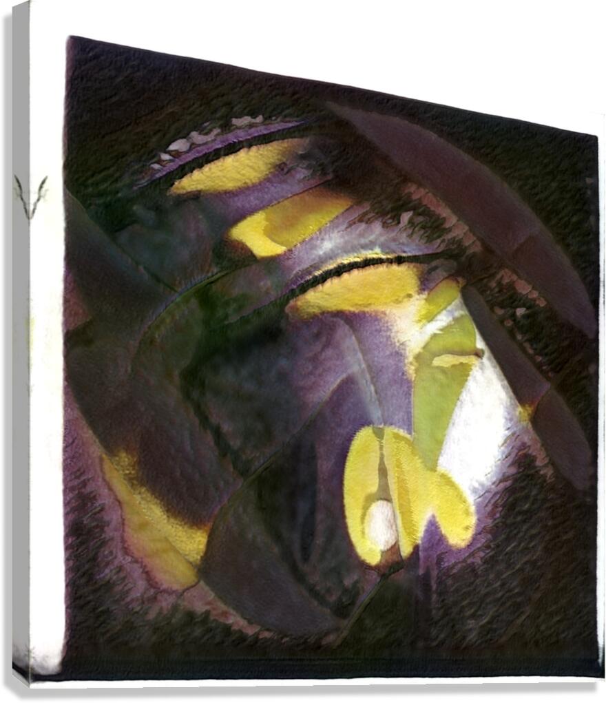 2469 8K Canvas Print