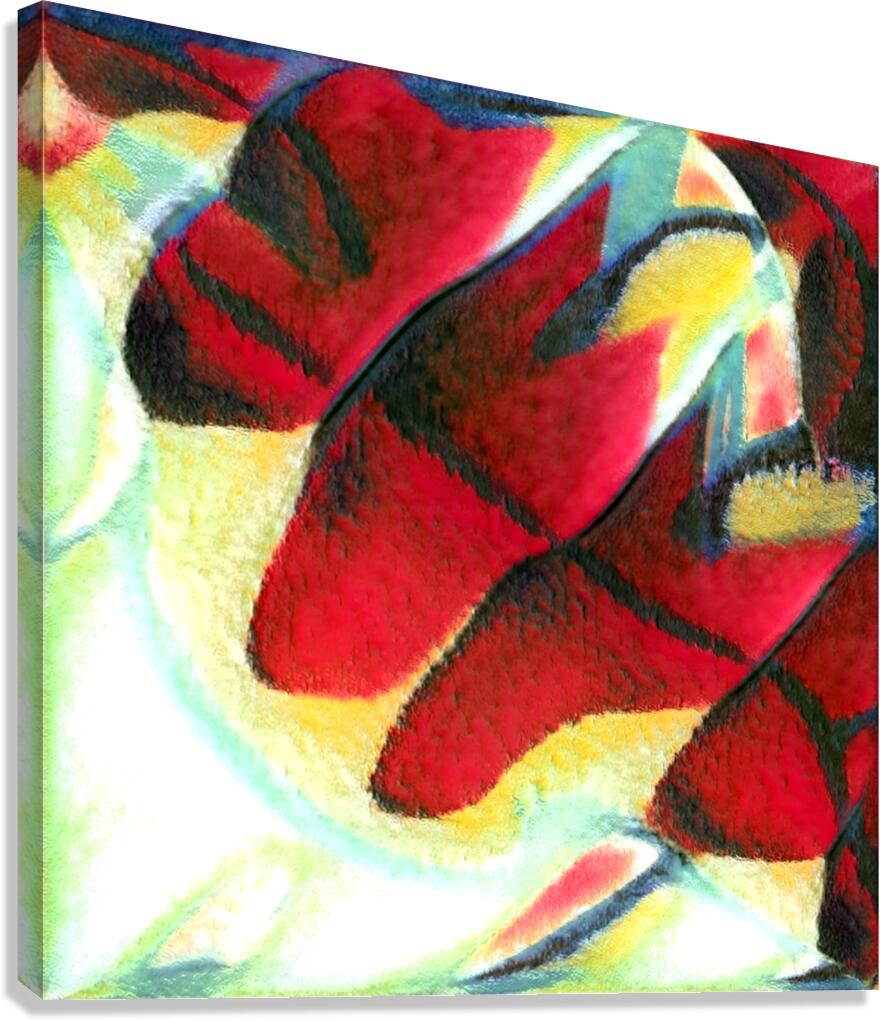 2443 8K Canvas Print