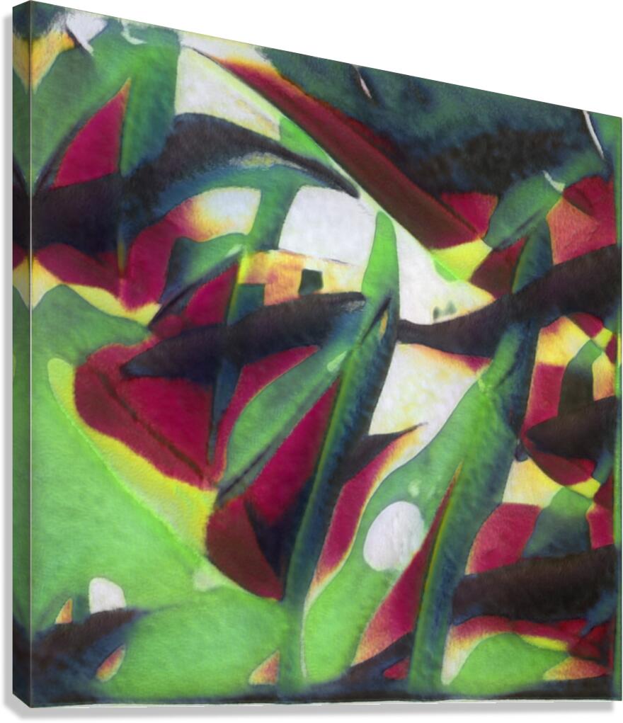 2473 8K Canvas Print