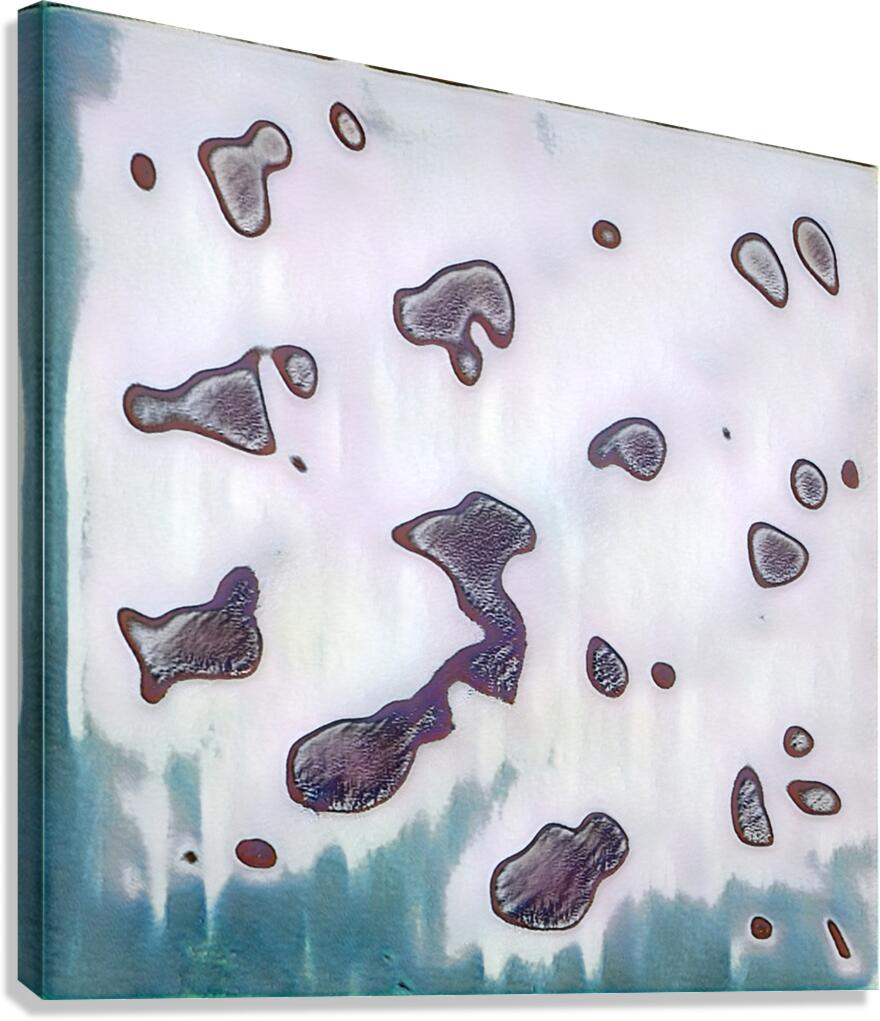 2451 8K Canvas Print