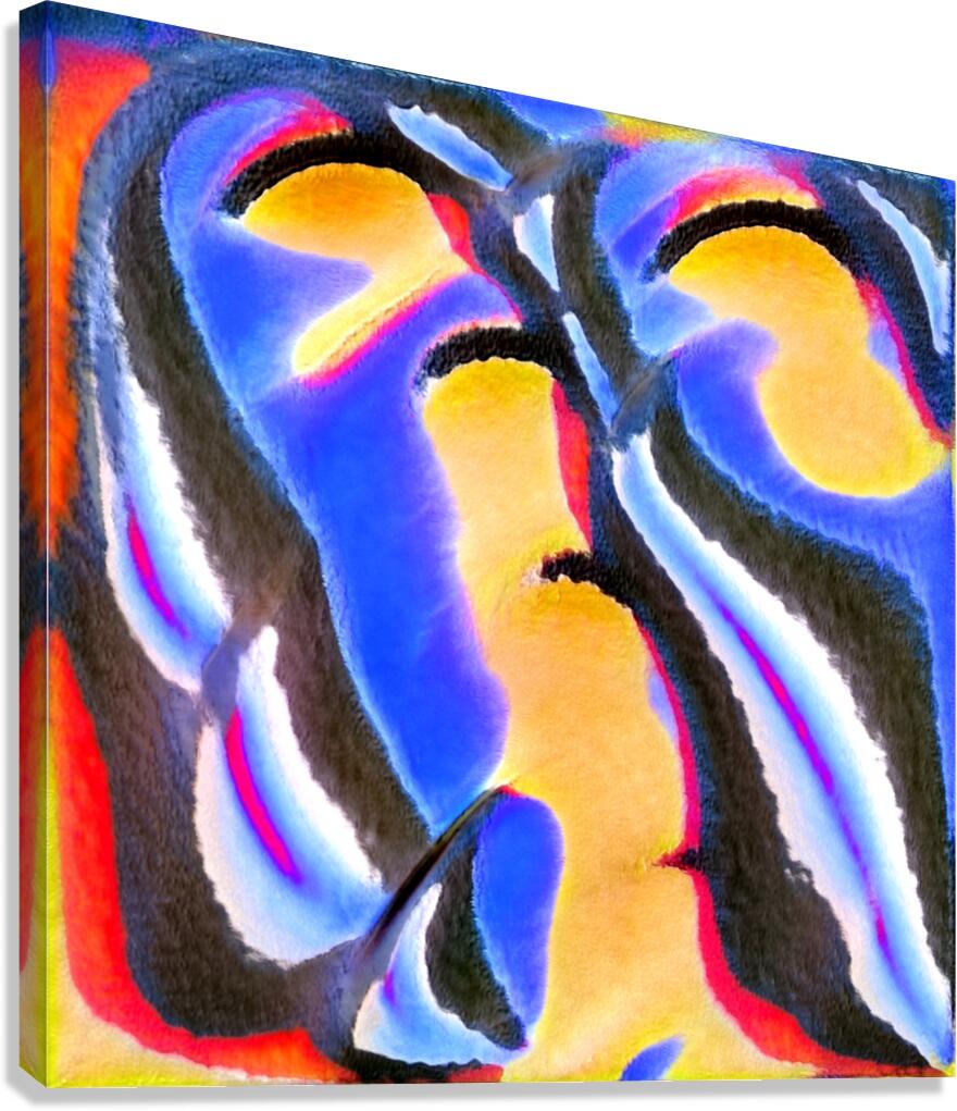 2460 8K Canvas Print