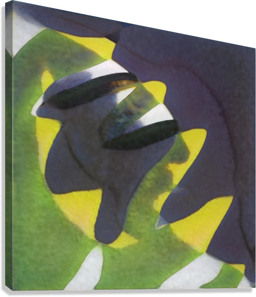 2481 8K Canvas Print