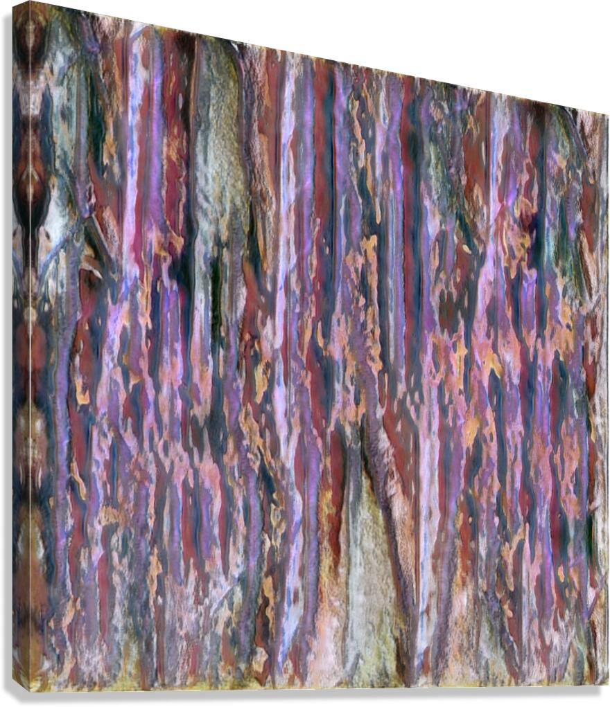 2529 8K Canvas Print