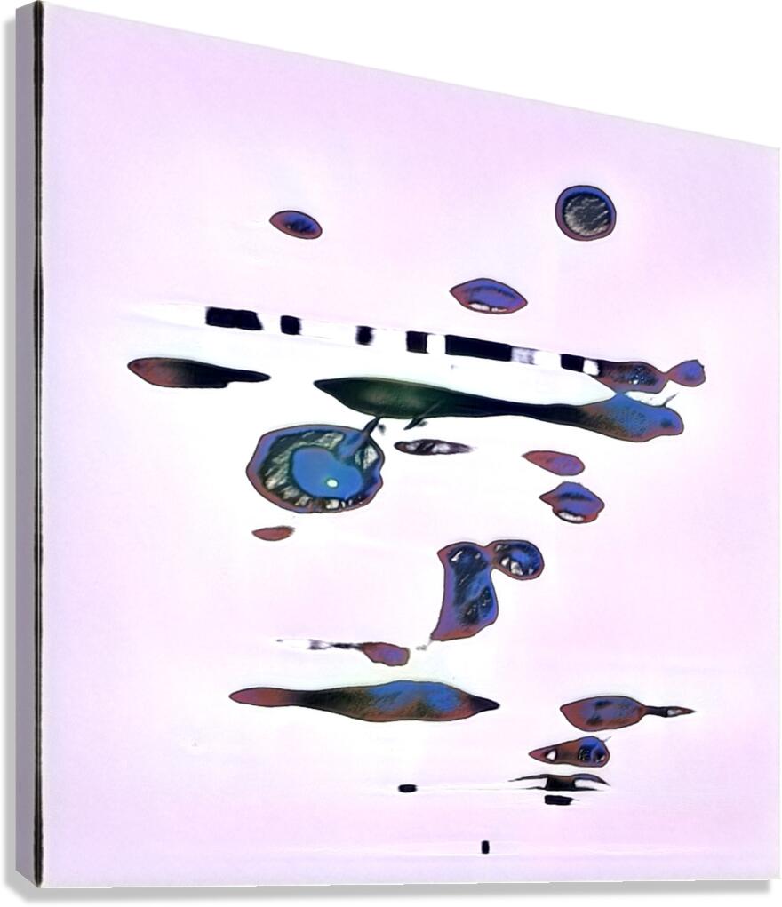 2553 8K Canvas Print