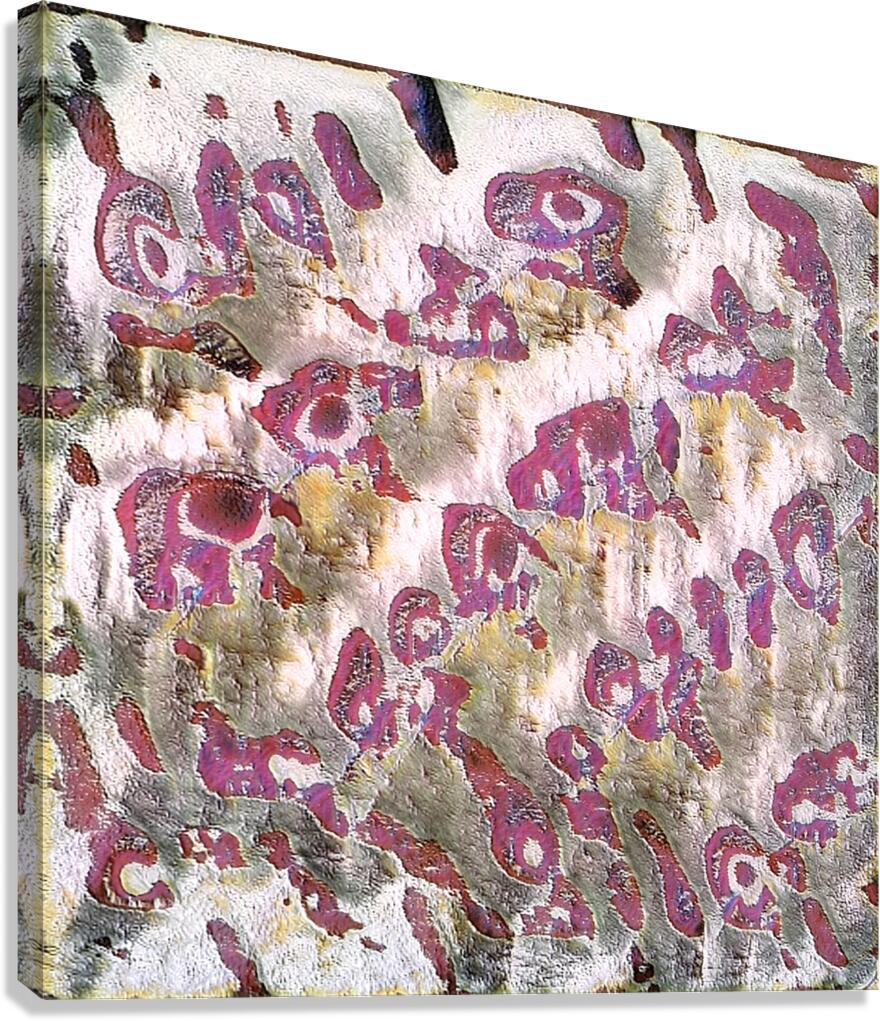 2639 8K Canvas Print