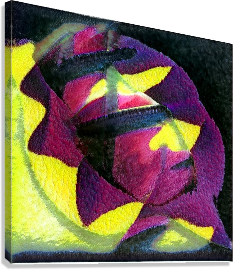 2636 8K Canvas Print