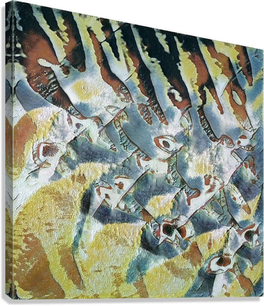 2707 8K Canvas Print