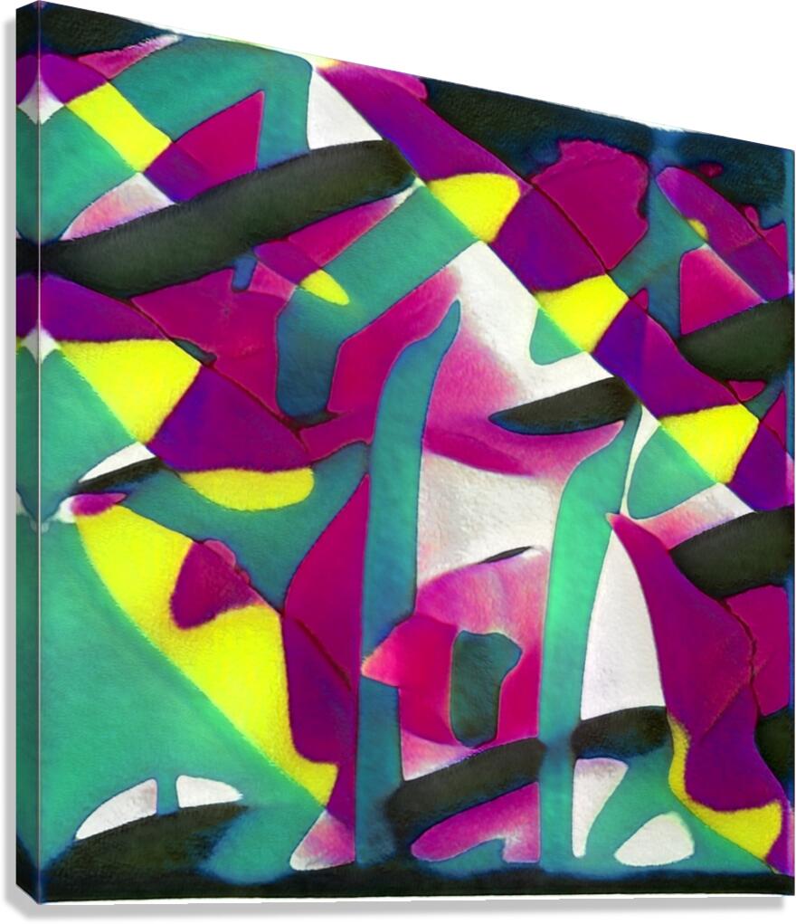 2697 8K Canvas Print