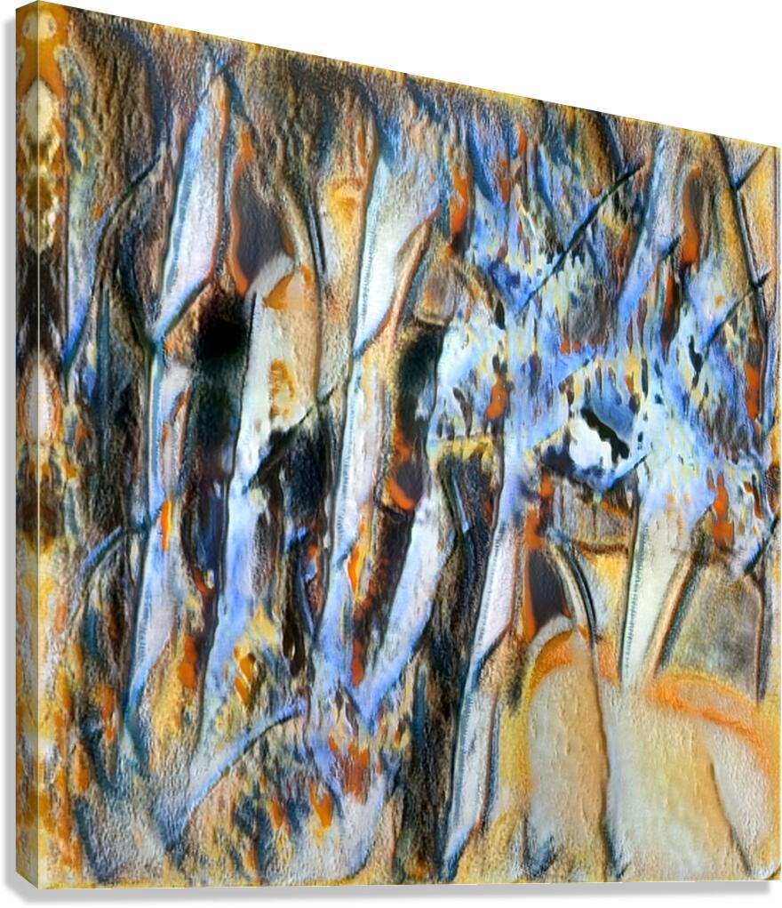 2695 8K Canvas Print