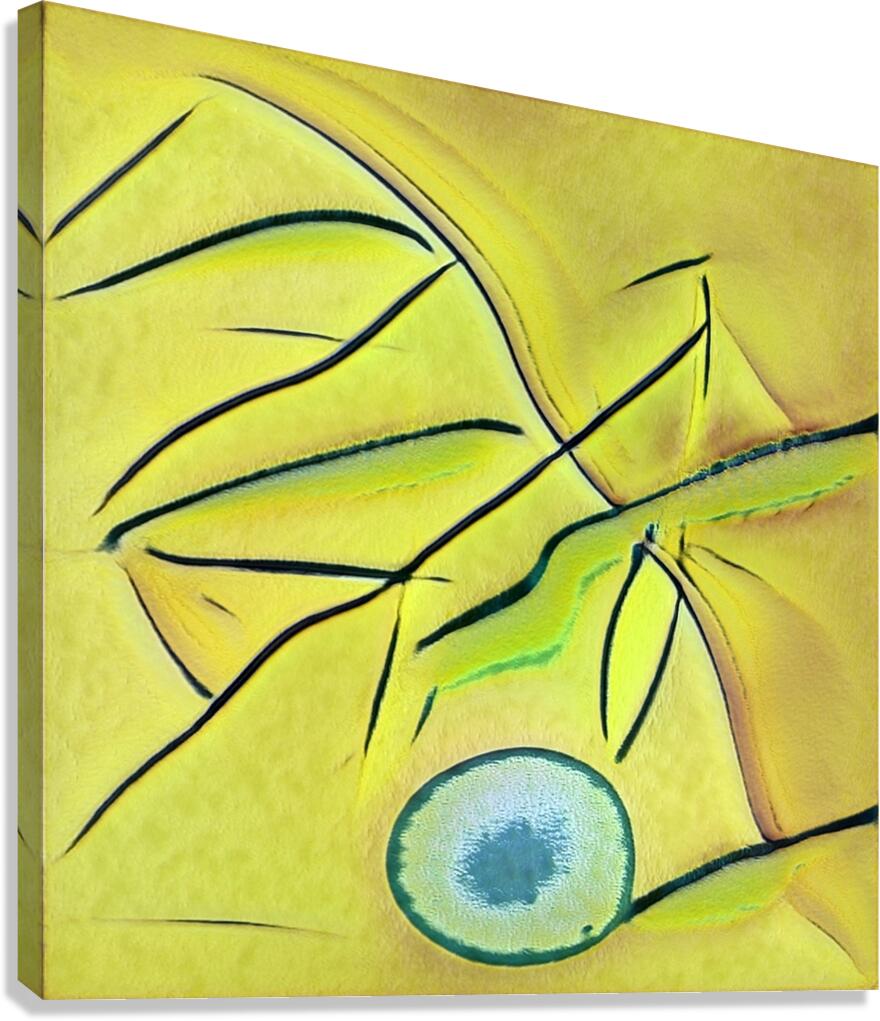 2720 8K Canvas Print