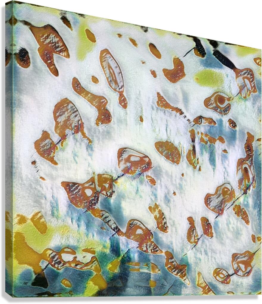 2755 8K Canvas Print