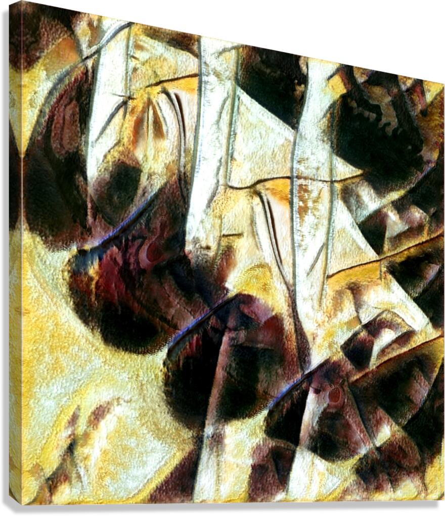 2773 8K Canvas Print