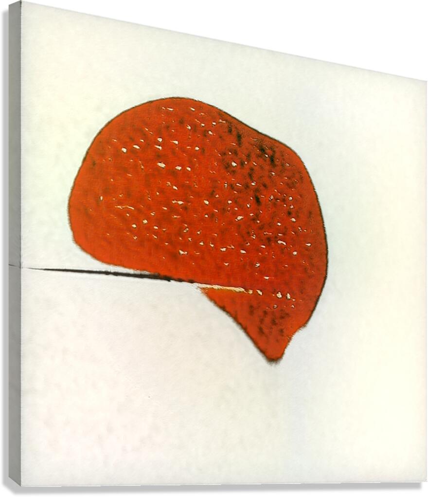 2820 8K Canvas Print