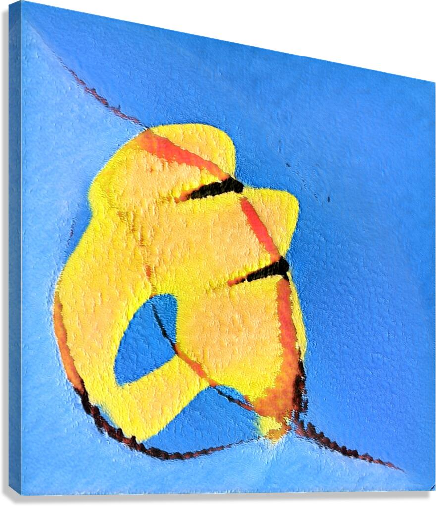 2871 8K Canvas Print