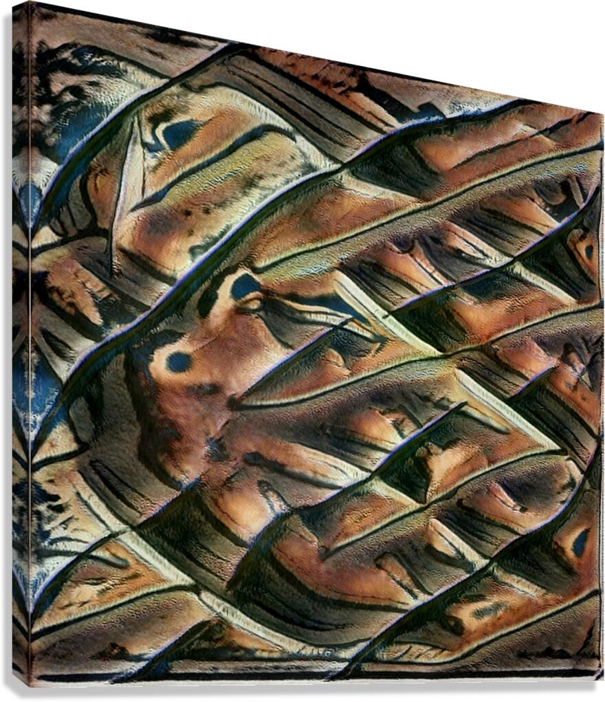 2866 8K Canvas Print