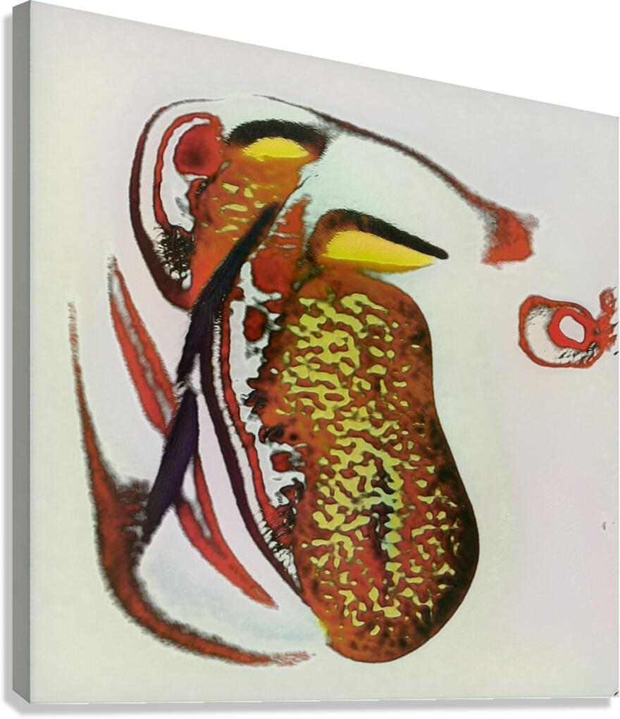 2875 8K Canvas Print