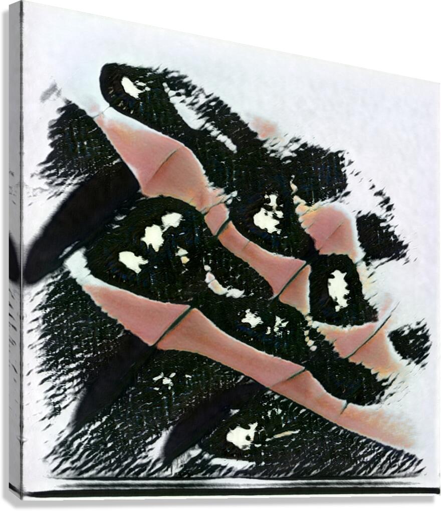 2865 8K Canvas Print