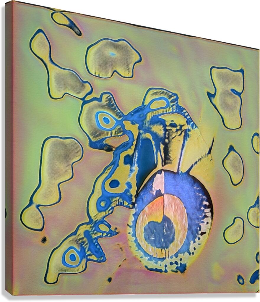 2857 8K Canvas Print