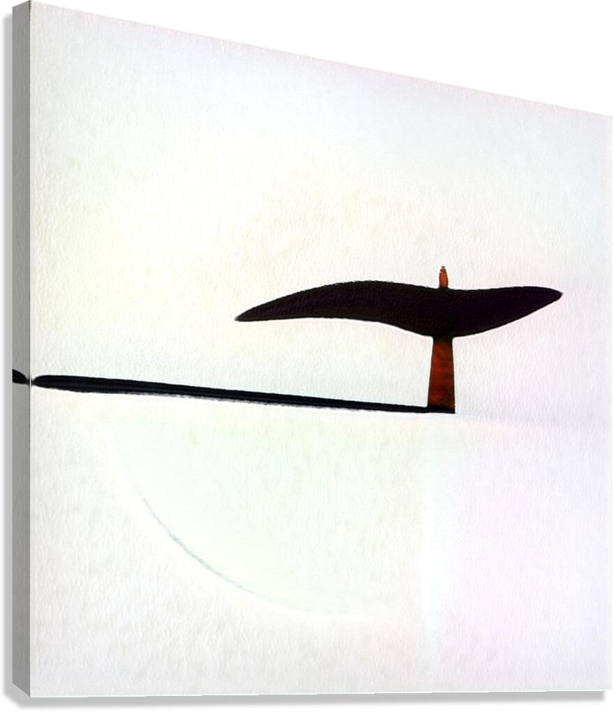 2915 8K Canvas Print