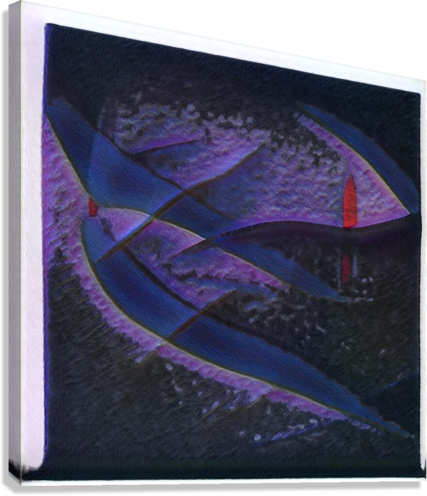 2905 8K Canvas Print