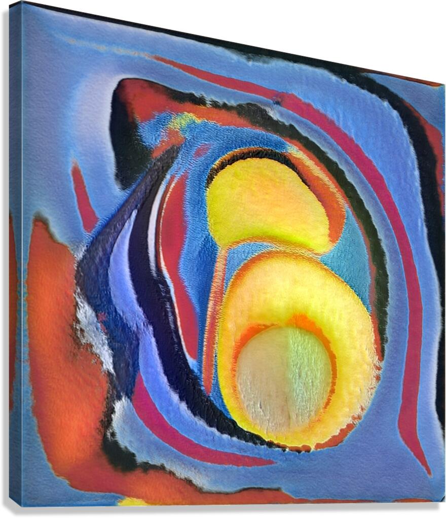 2953 8K Canvas Print