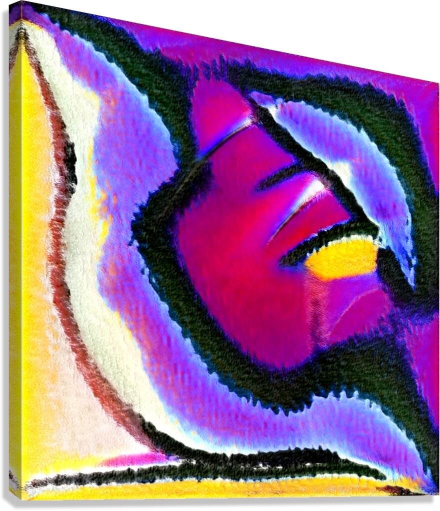 2941 8K Canvas Print