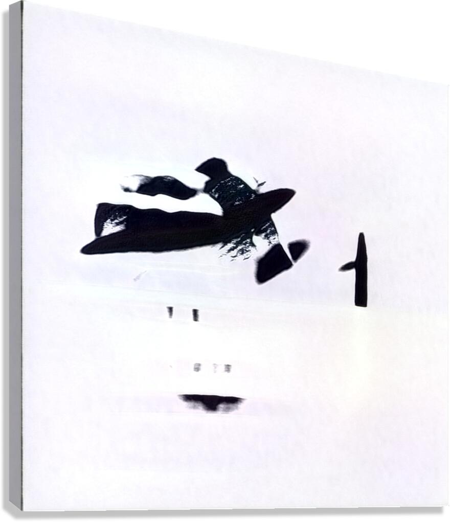 3001 8K Canvas Print